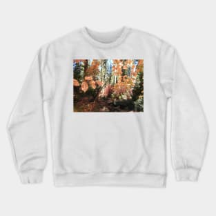 Fall foliage, autumn, scenery, nature, gifts Crewneck Sweatshirt